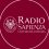#NonCiFermaNessuno: cinque pillole su Radio Sapienza